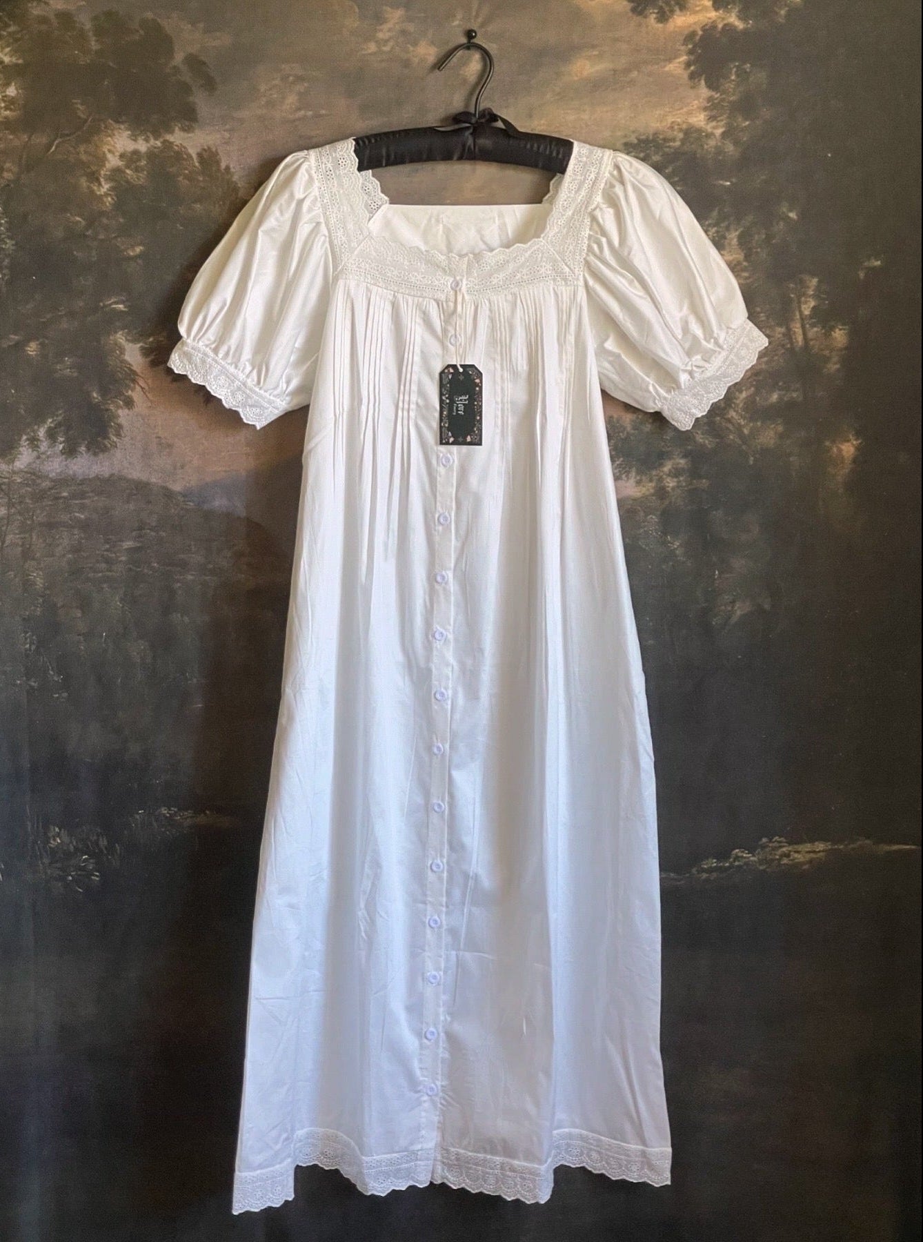 A historically inspired regency style short sleeve chemise dress with pin-tuck pleats and lace trim in front of an art history backdrop