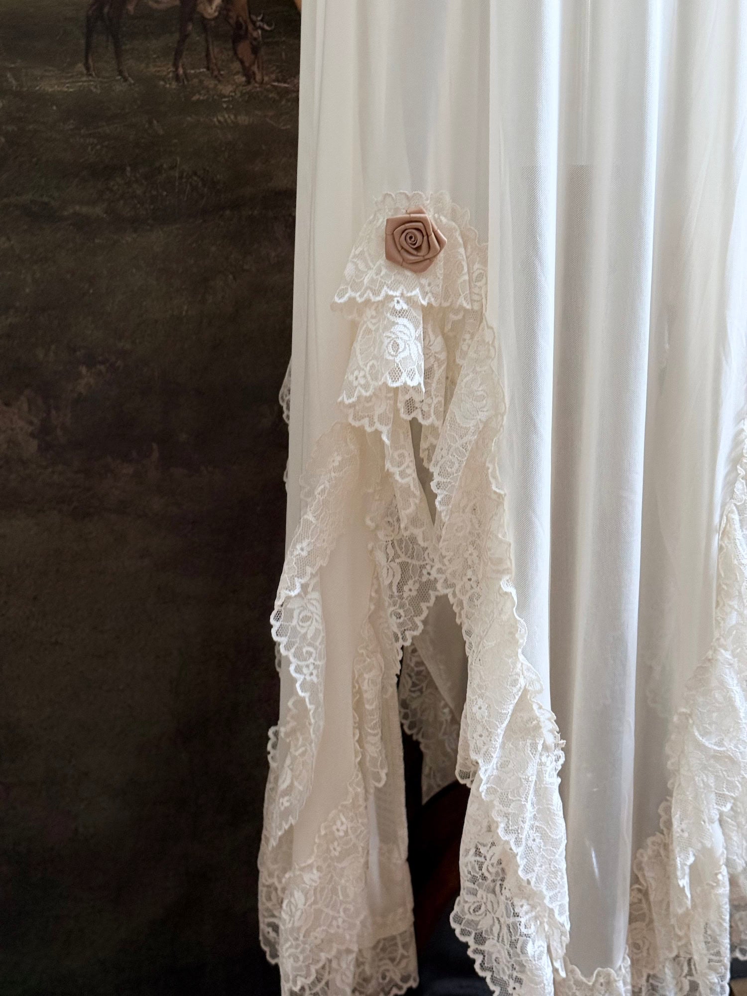 A victorian-inspired lacy chiffon overdress with ruffle lace trim and rosette appliques, pictured on a mannequin in front of a historical painted backdrop.